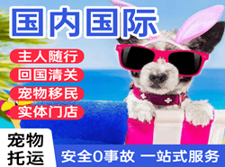 常州航空运输国际宠物托运 【国